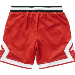 LRG Resolutionary Lifted Mesh Shorts>Men Shorts